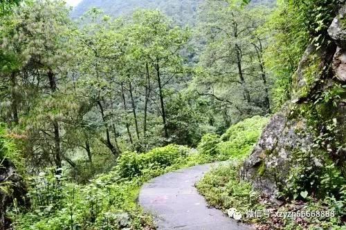 小猫钓鱼正版下载中文版