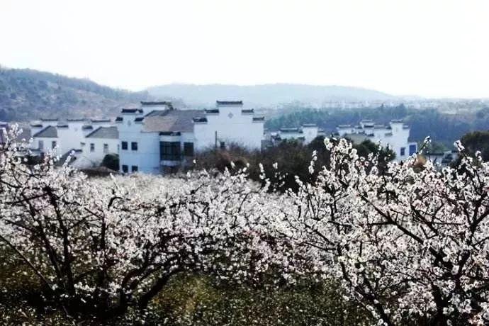 破碎的雕像